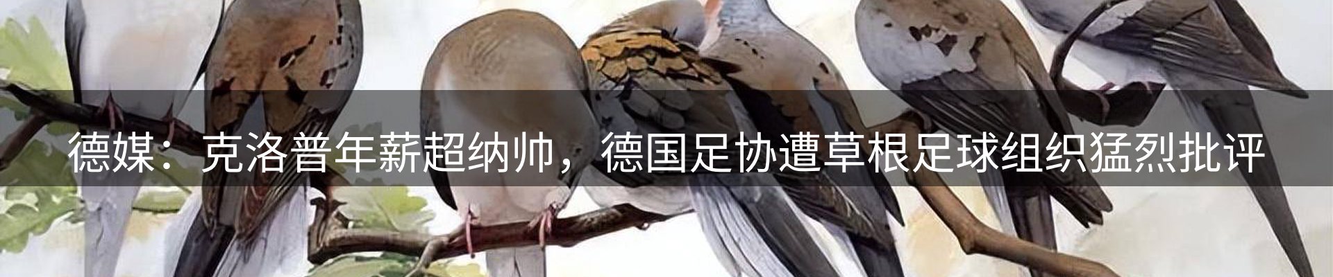赛事资讯