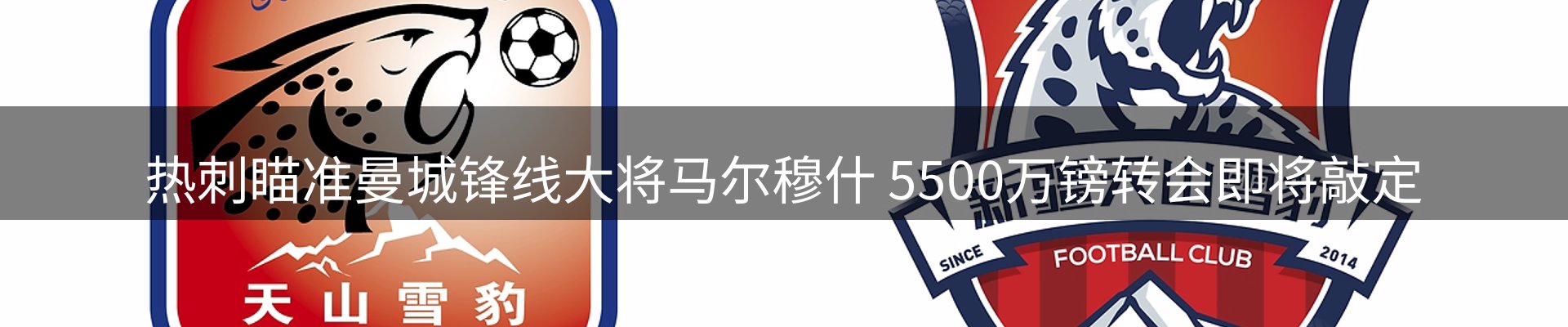 赛事资讯